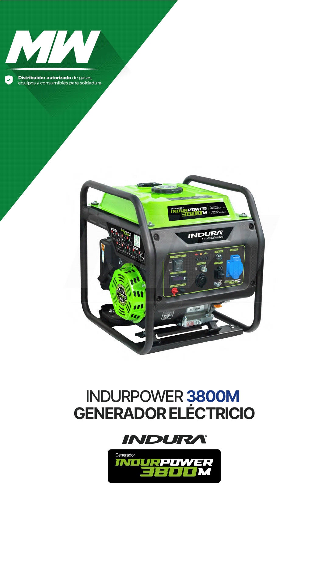 Generador Eléctrico INDURPOWER 3800M